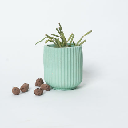 Dorè Bloom Planter