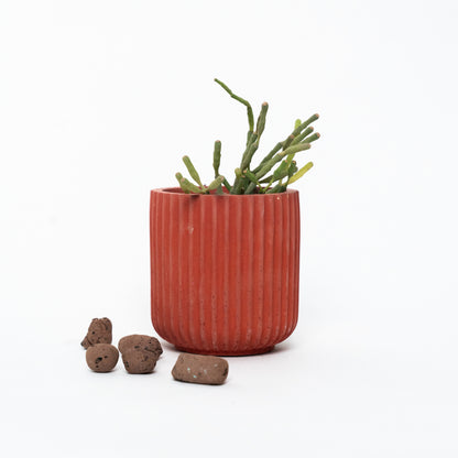 Dorè Bloom Planter