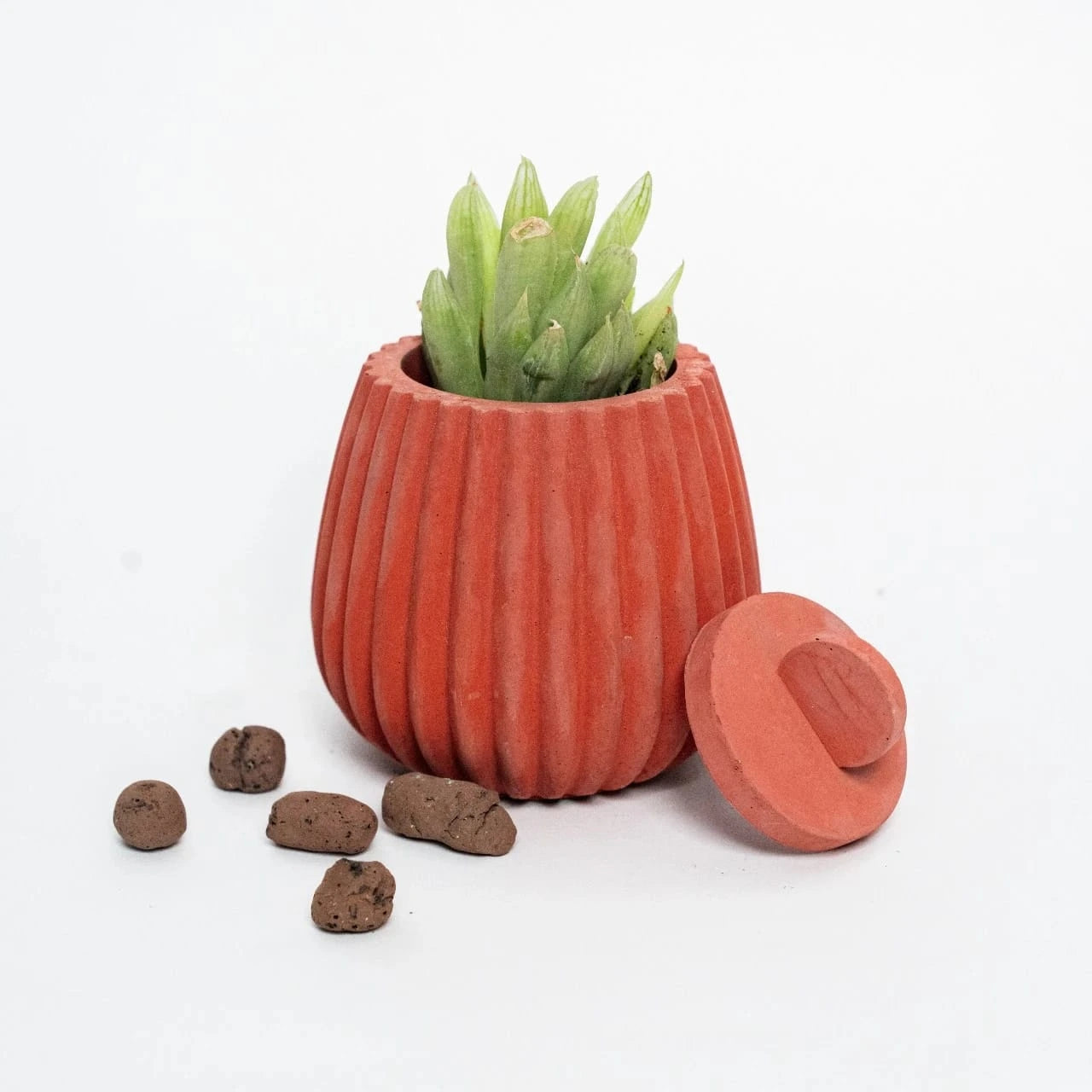 Nerida Forge Planter - Strong and Stylish