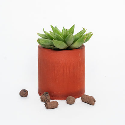 Nestà Verde Planter - Flourish with style