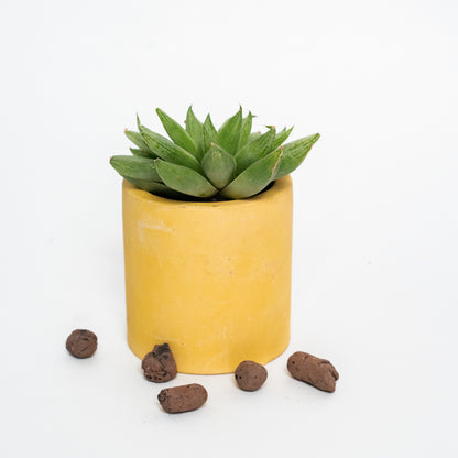 Nestà Verde Planter - Flourish with style