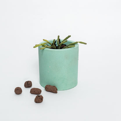 Nestà Verde Planter - Flourish with style
