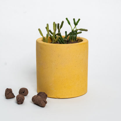 Nestà Verde Planter - Flourish with style
