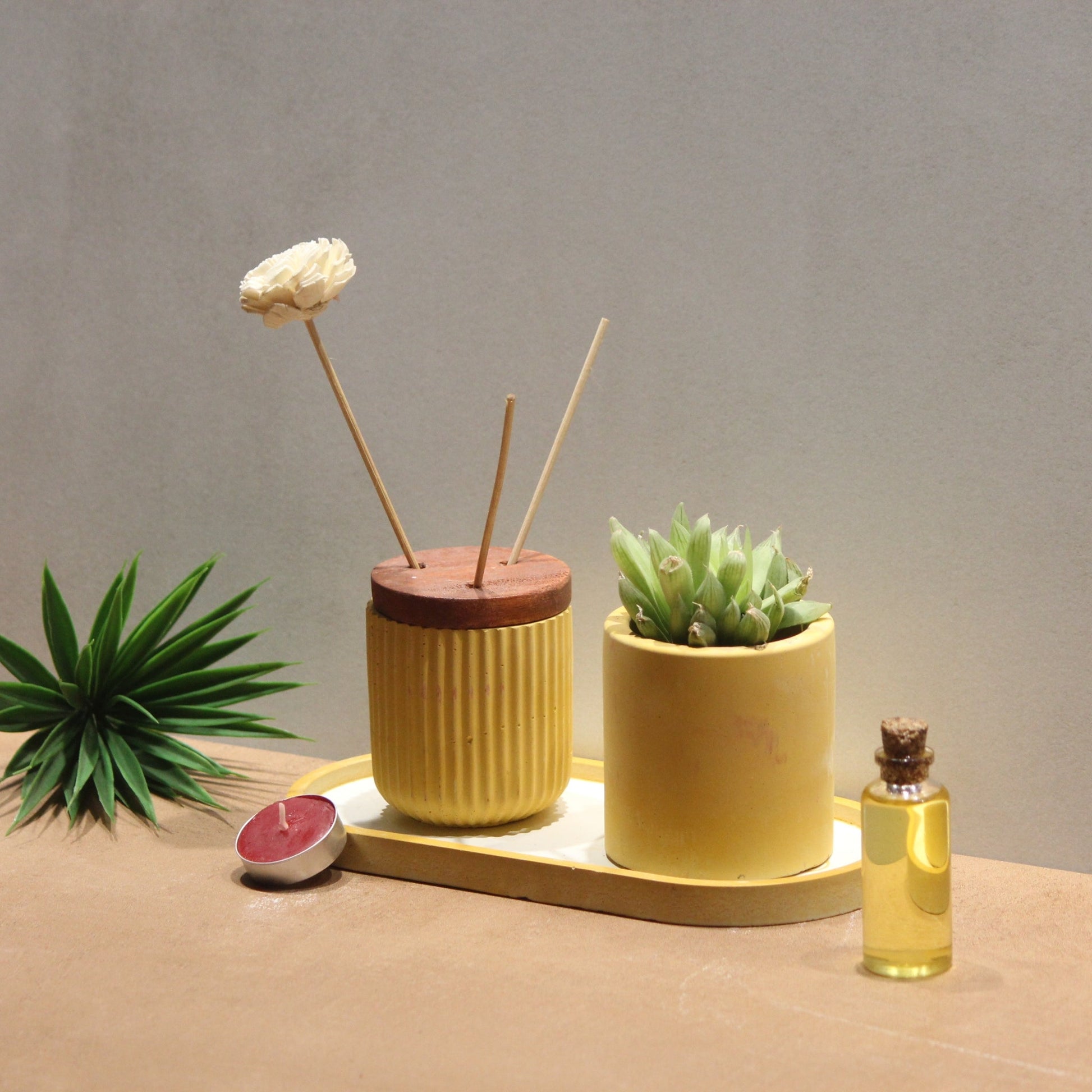 Kavirà Petal Set (Dore Reed Diffuser, Nesta Planter with Etagere Engraved Tray) - Pankh by Aurum