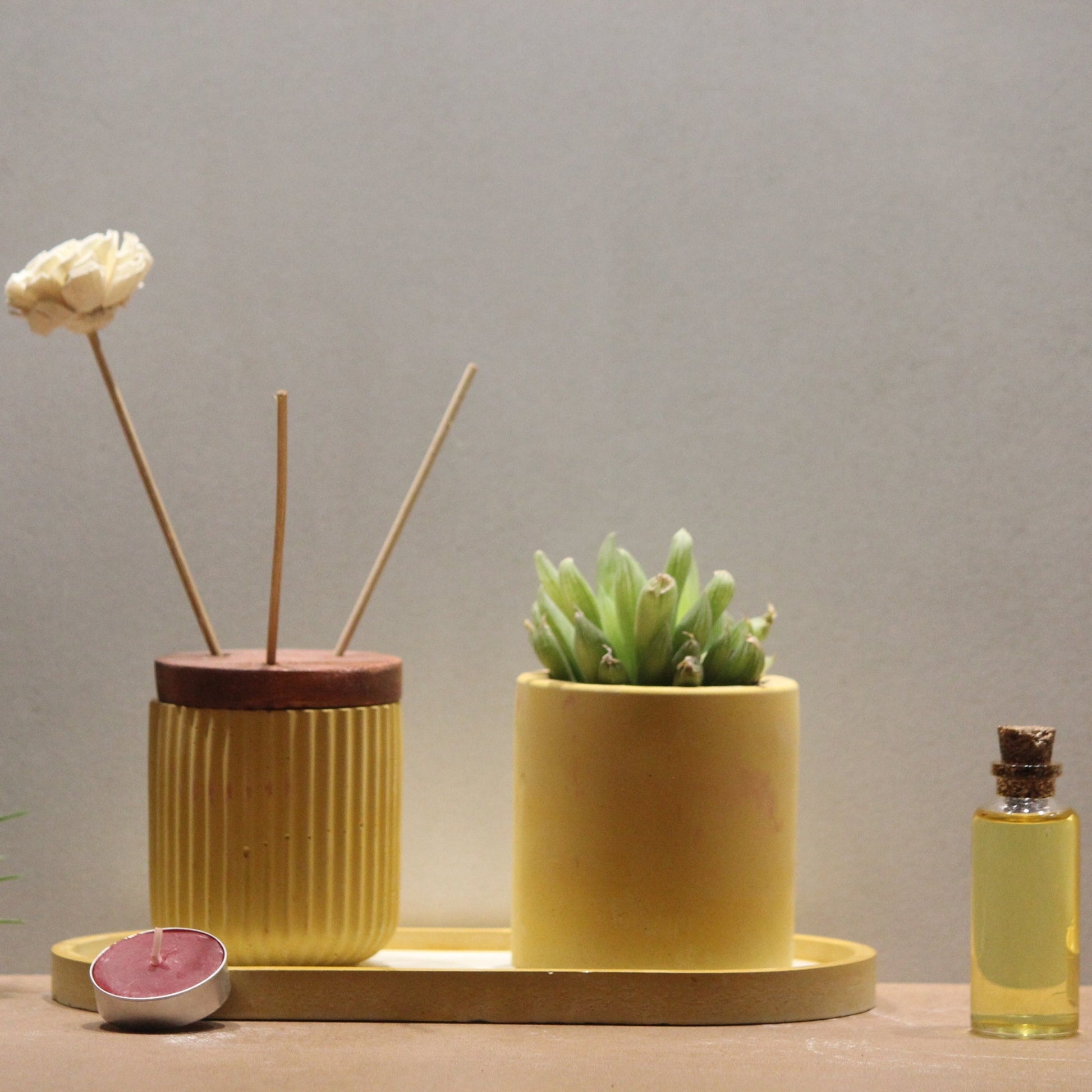 Kavirà Petal Set (Dore Reed Diffuser, Nesta Planter with Etagere Engraved Tray) - Pankh by Aurum