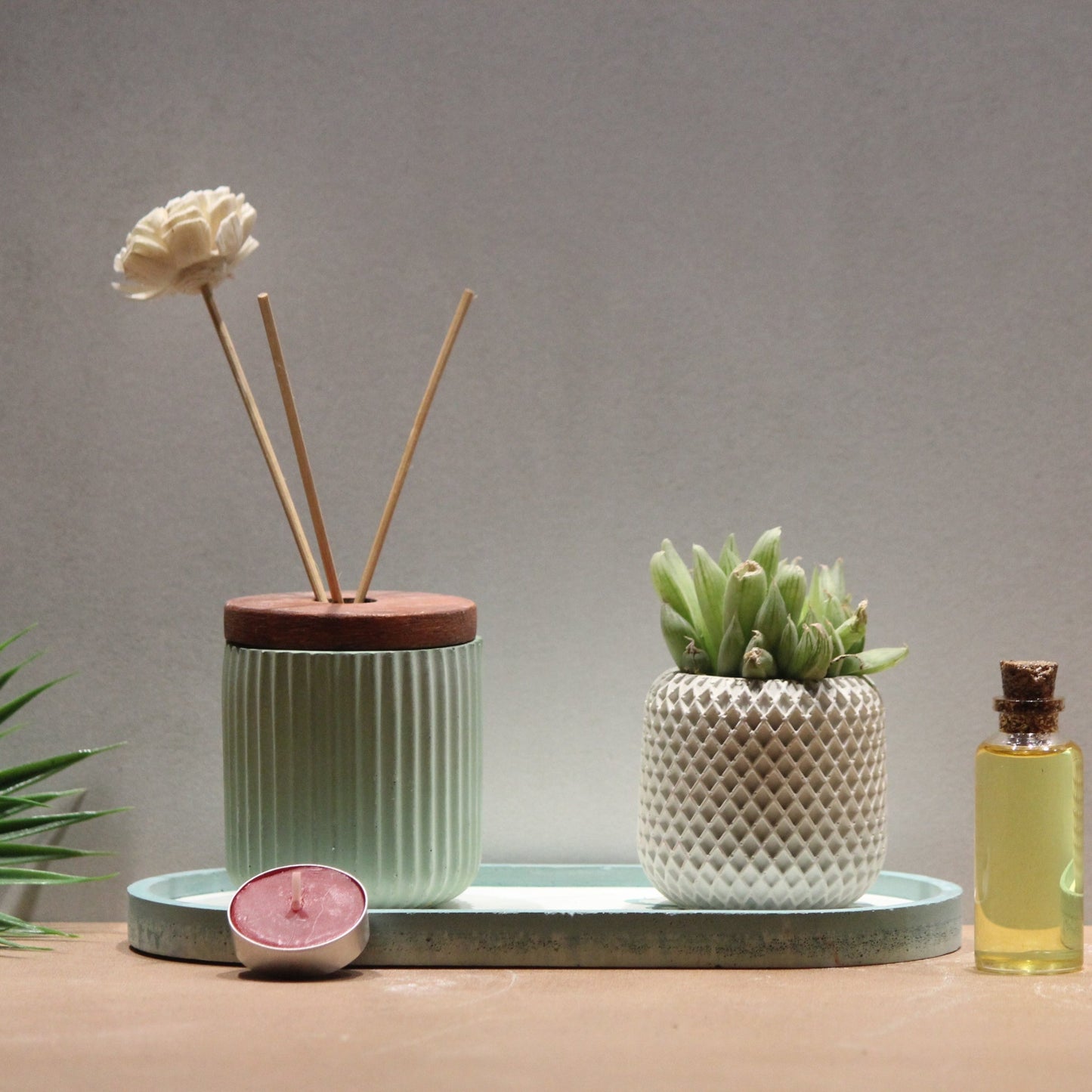 Savanà Sol Set (Dore Reed Diffuser, Varya Planter with Etagere Engraved Tray) - Pankh by Aurum